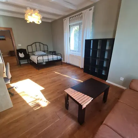 Guest In Private By Airport, Shared Bath, Non-smoking, Contactless Check-in, No Staff, Quiet Stay, Short Apartment Tuchomerice