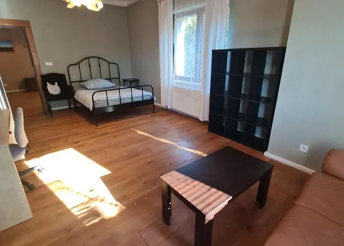 Guest In Private By Airport, Shared Bath, Non-smoking, Contactless Check-in, No Staff, Quiet Stay, Short Apartment Tuchomerice
