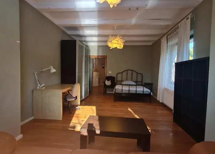 Guest In Private By Airport, Shared Bath, Non-smoking, Contactless Check-in, No Staff, Quiet Stay, Short *