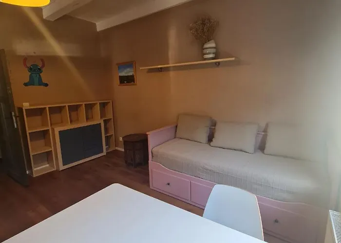 Guest In Private By Airport, Shared Bath, Non-smoking, Contactless Check-in, No Staff, Quiet Stay, Short * Tuchomerice