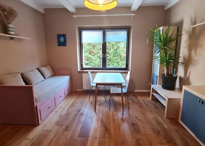 Guest In Private By Airport, Shared Bath, Non-smoking, Contactless Check-in, No Staff, Quiet Stay, Short Tuchomerice